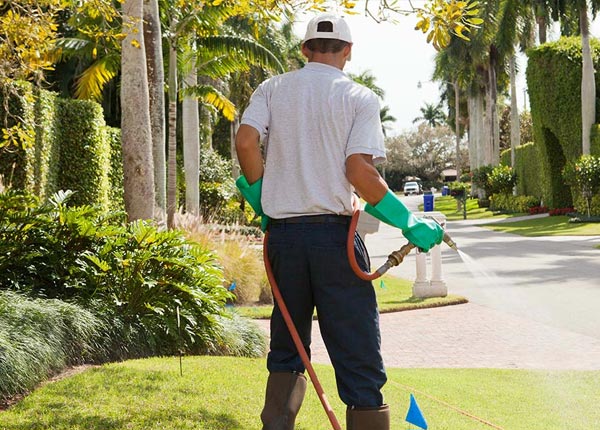 About Howes SD Pest Control
